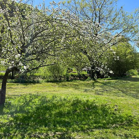Les Pieds Dans L'Eau, Gite Le Blagour Lachapelle-Auzac Kültér fotó